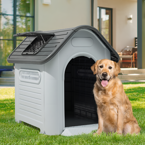 Pet Kennels: Safety and Comfort Combined