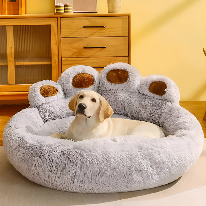 Pet Beds: The Ultimate Comfort for Your Furry Friend