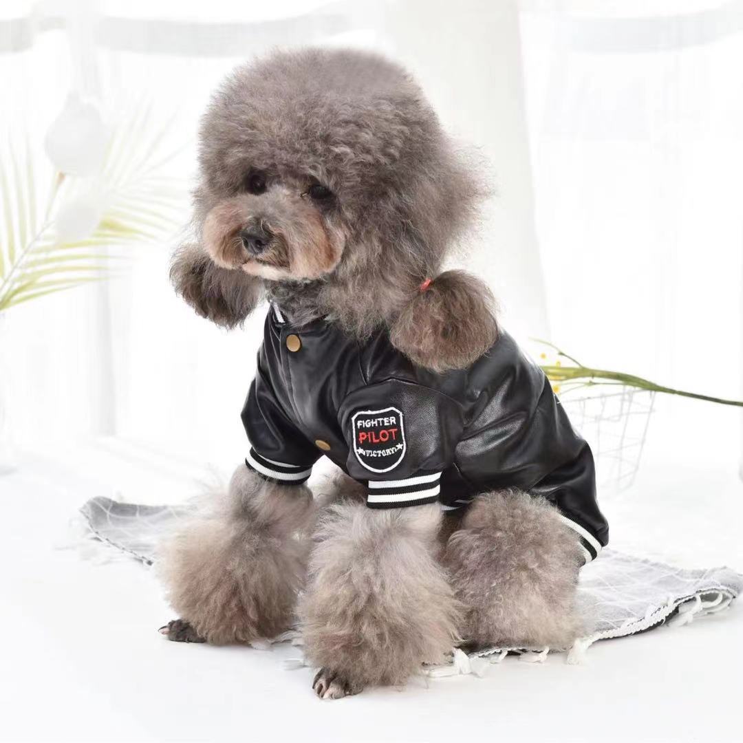 Dog Leather Clothes