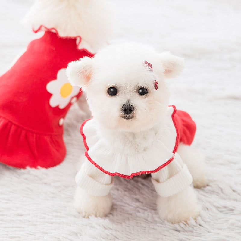 Flower skirt pet clothes