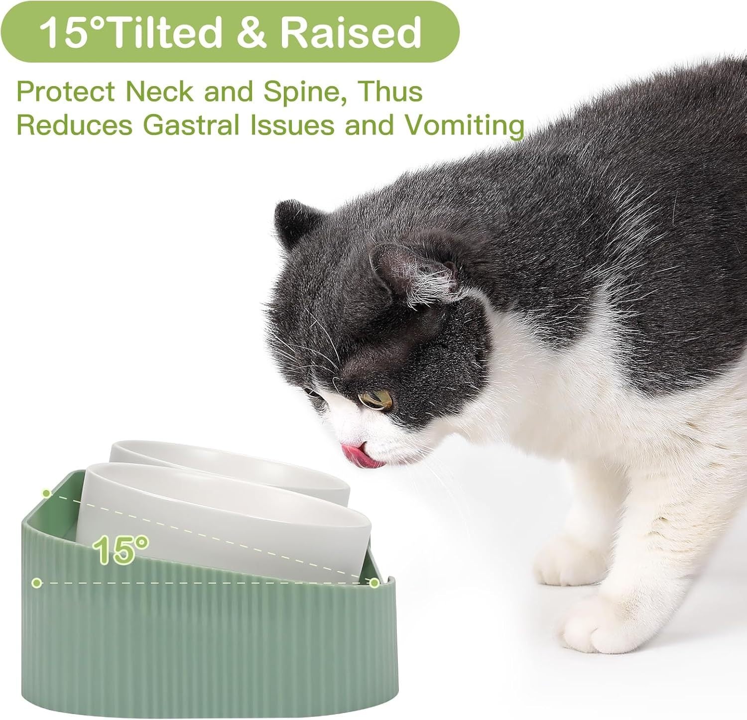 Ceramic Elevated Cat Bowls For Indoor