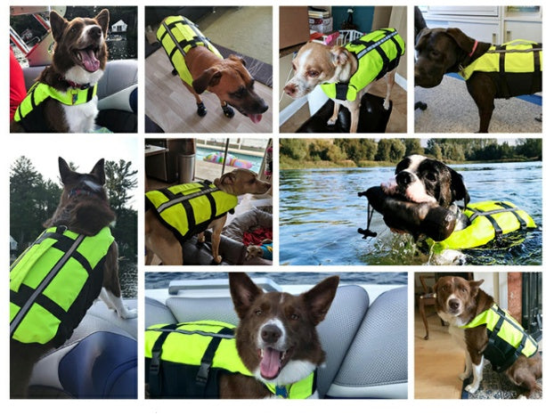 Safety Dog Swimming Pool Vest