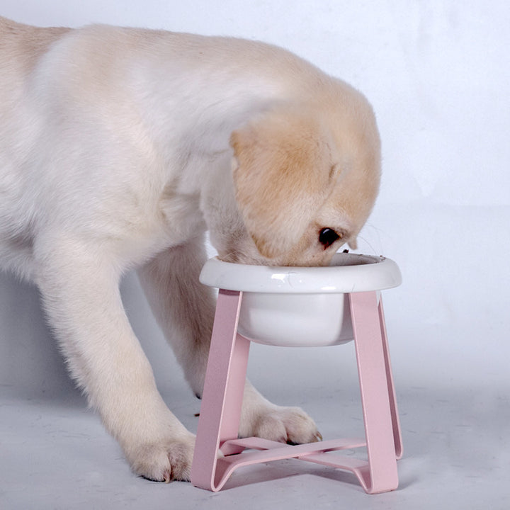 Pet Bowls Creative Antislip