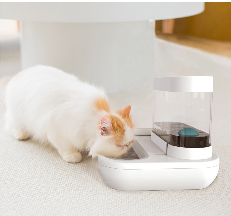Pet Cat Bowl Dog for Cats Feeder Bowls