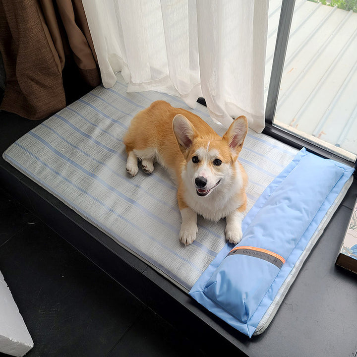 Dog Mat Sleeping With Pet Mat Summer