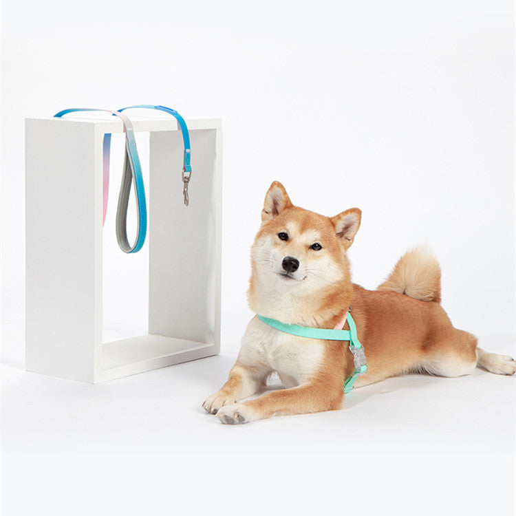 Pet PVC jelly gradient traction rope