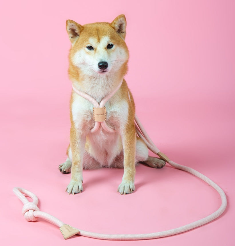 Pet Dual-purpose Round Rope