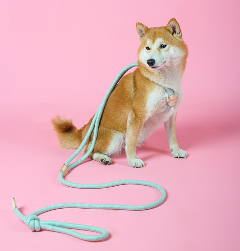Pet Dual-purpose Round Rope