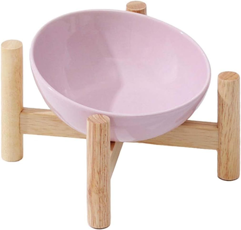 Elevated Raised Bowl For Indoor Cats