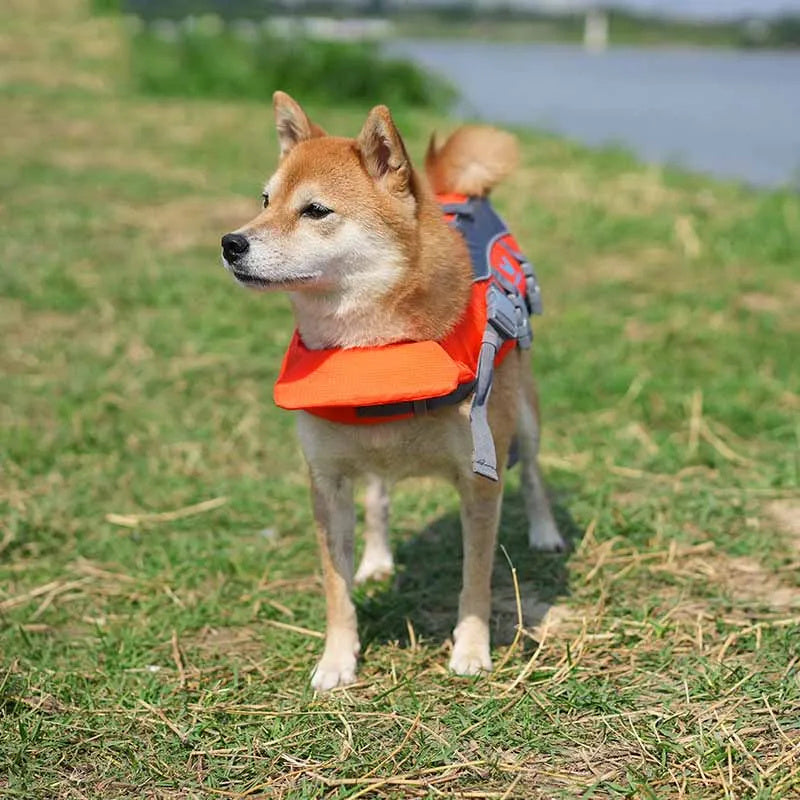 Pet Life Vest Dog Swimming Clothes