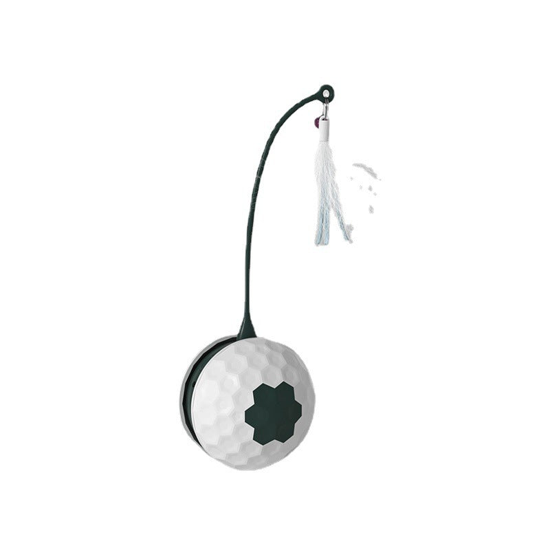 Intelligent Bite Resistant Cat Toys Pet Products