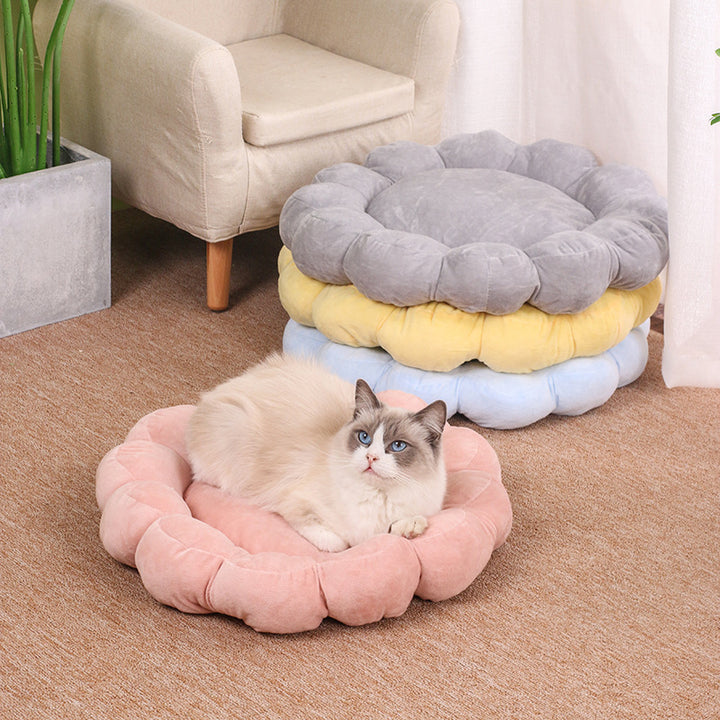 Multi Color Petal Dog Beds