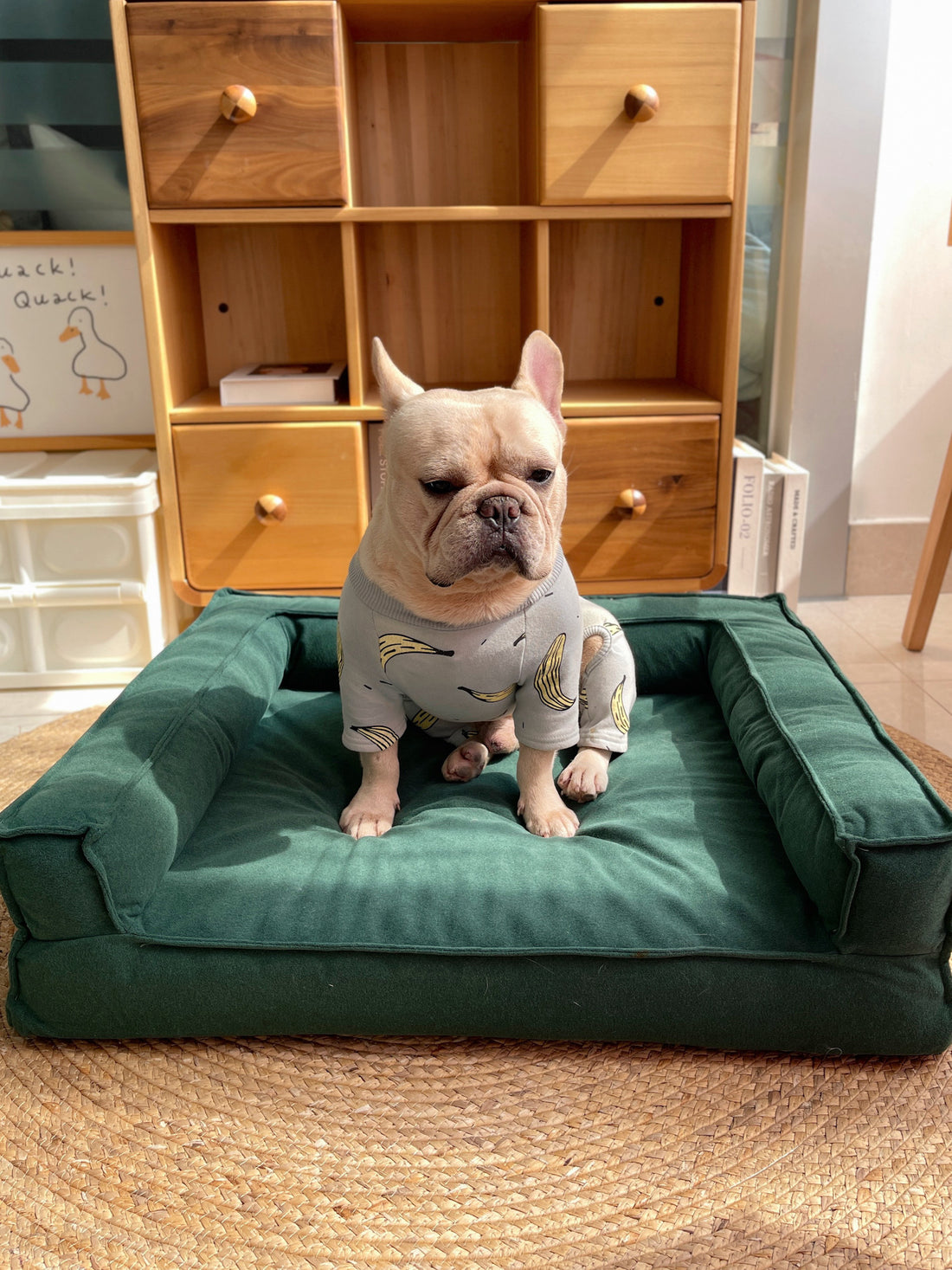 Fashion Detachable Sponge Pet Bed