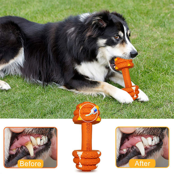 Durable Dog Chew Toys