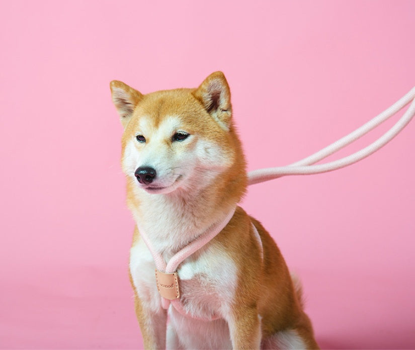 Pet Dual-purpose Round Rope