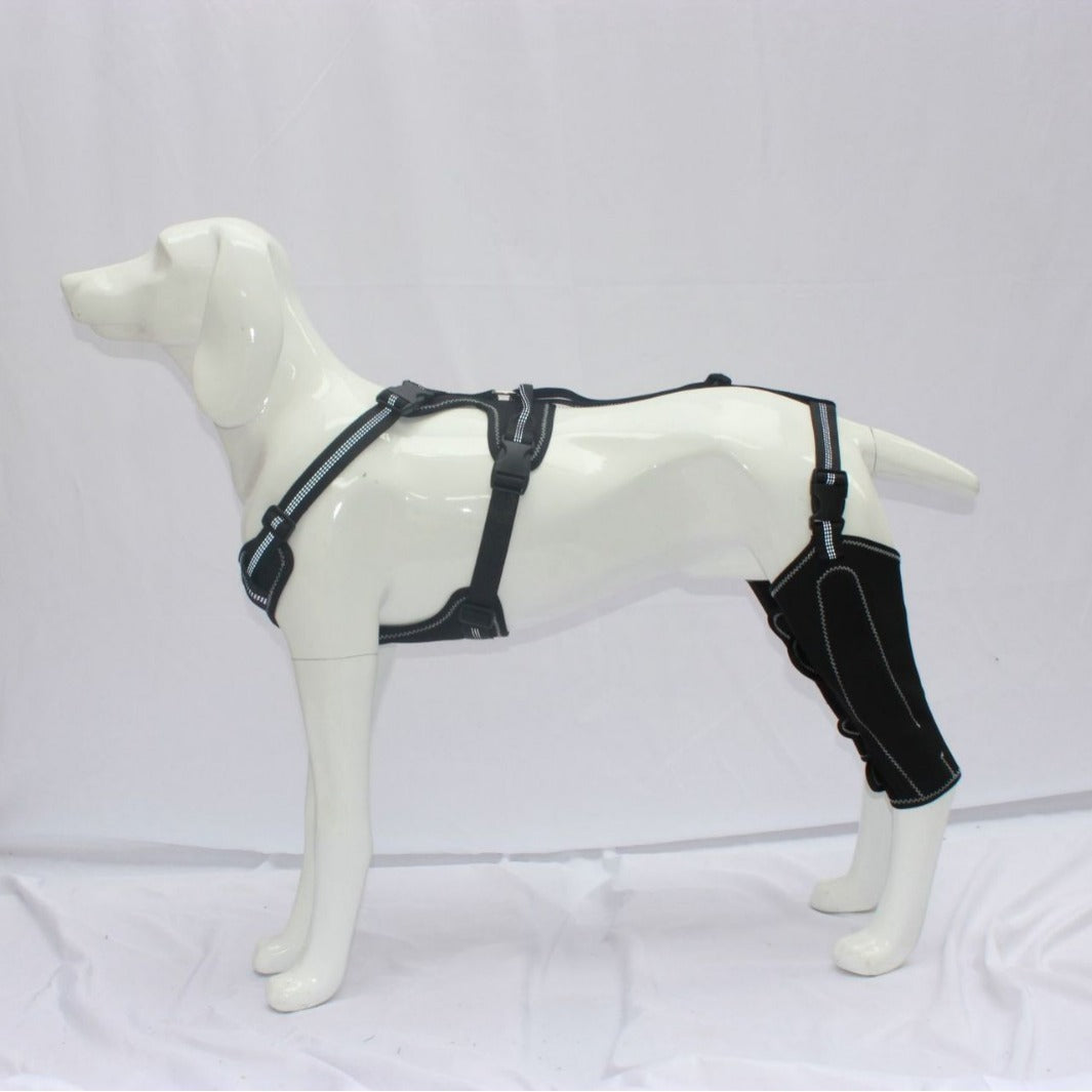 Pet Protective Gear Dog Thigh Sleeve