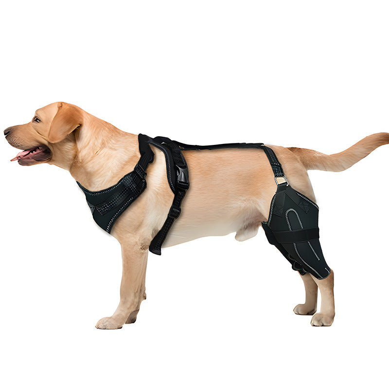 Pet Protective Gear Dog Thigh Sleeve