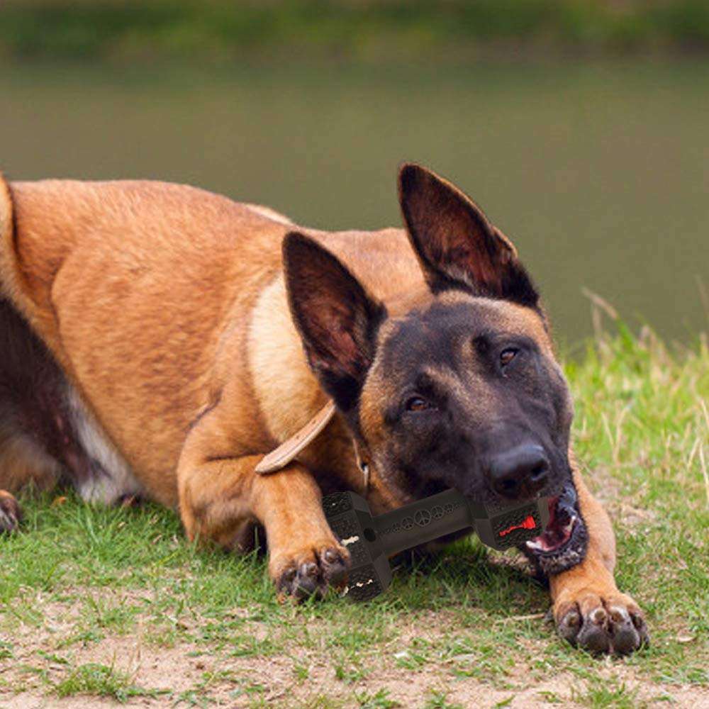 Durable Dog Chew Toys