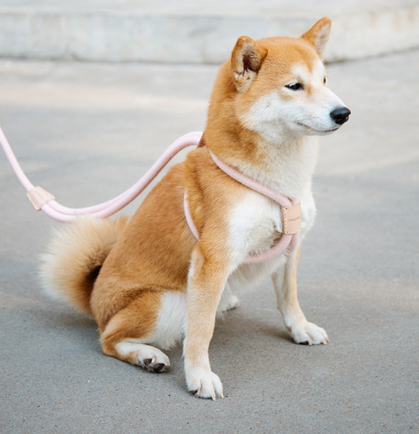 Pet Dual-purpose Round Rope