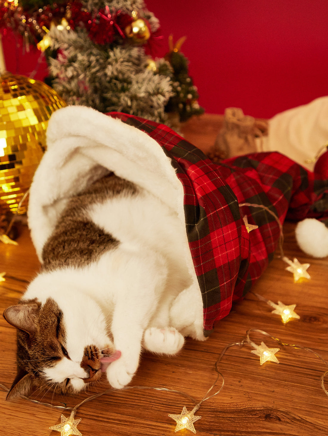 Cat House Pet Mats Are Sized Kennels