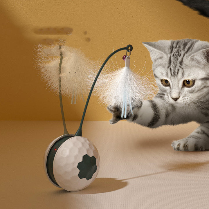 Intelligent Bite Resistant Cat Toys Pet Products