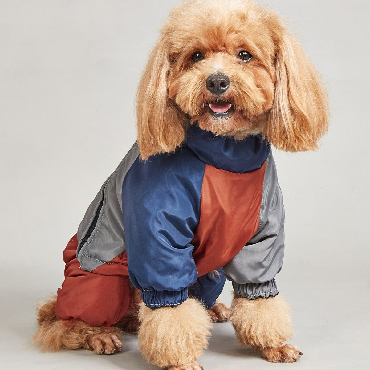 Pet Winter Color Matching Cotton-padded Clothes