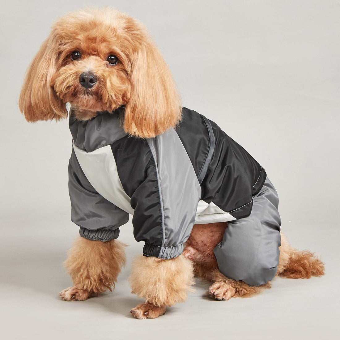 Pet Winter Color Matching Cotton-padded Clothes