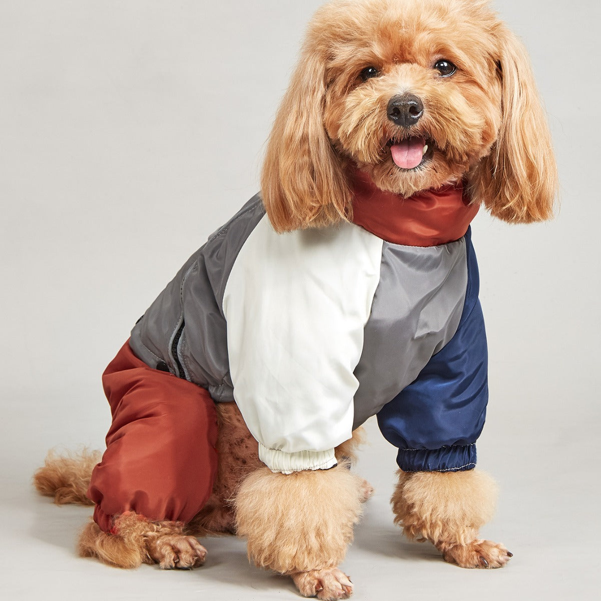 Pet Winter Color Matching Cotton-padded Clothes
