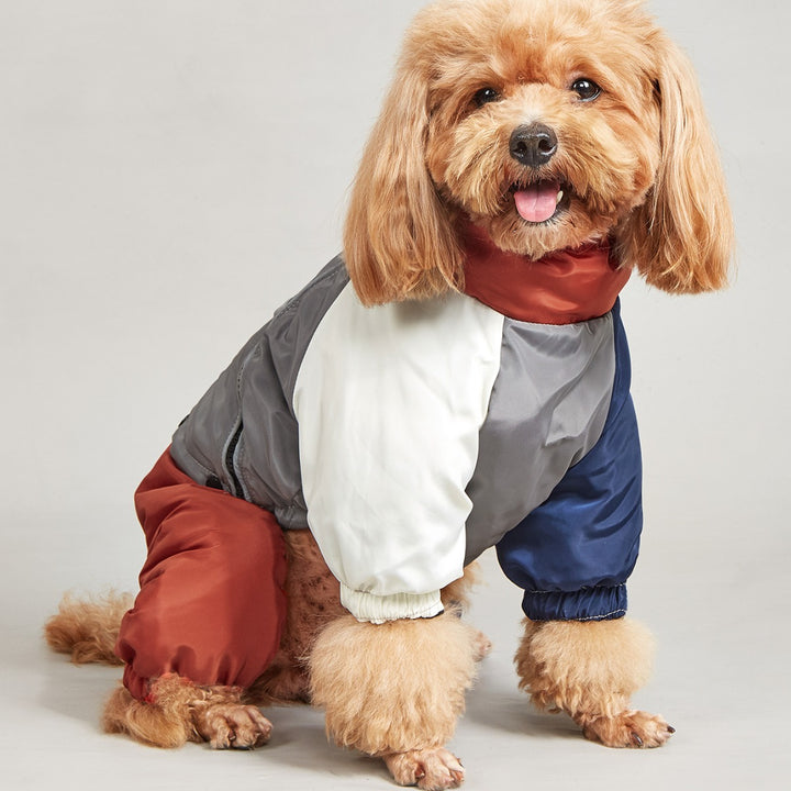 Pet Winter Color Matching Cotton-padded Clothes