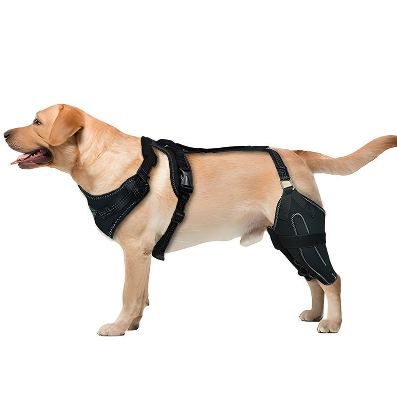 Pet Protective Gear Dog Thigh Sleeve