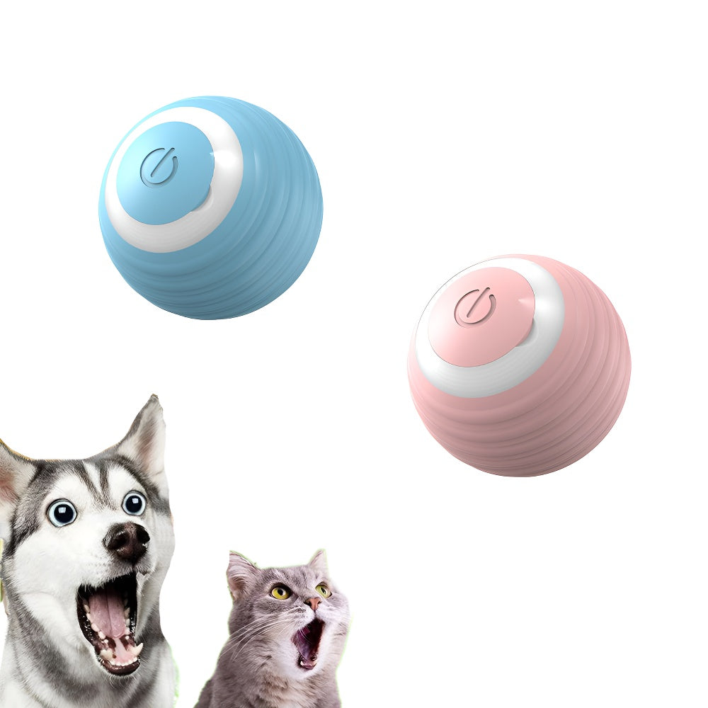 Cat Chase Toy Cat Interactive Ball Smart Pet