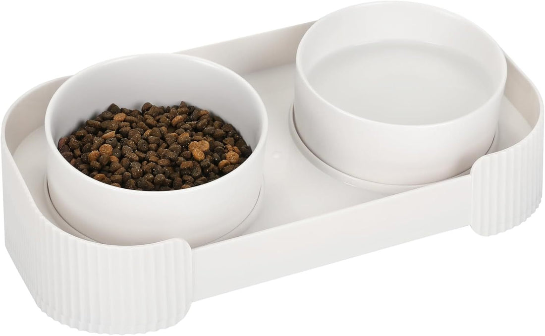 Ceramic Elevated Cat Bowls For Indoor