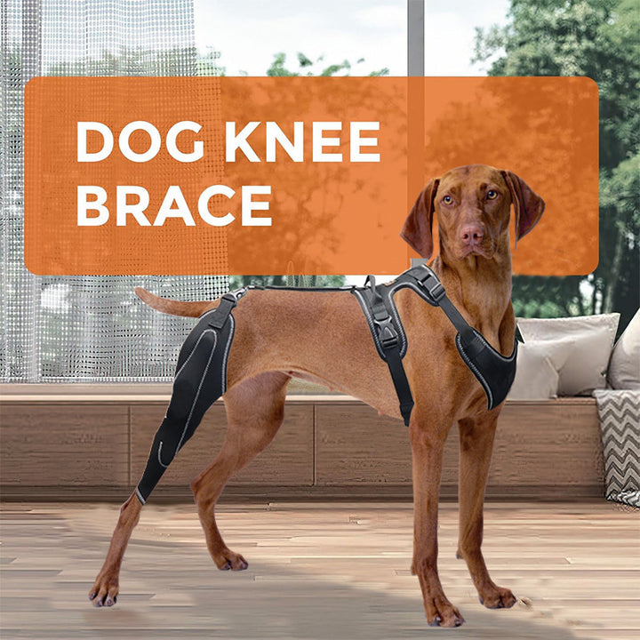 Pet Protective Gear Dog Thigh Sleeve