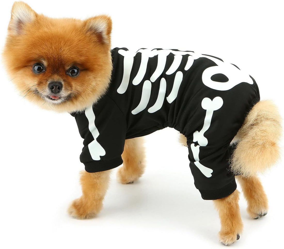 Halloween Dog Costumes For Small Dog