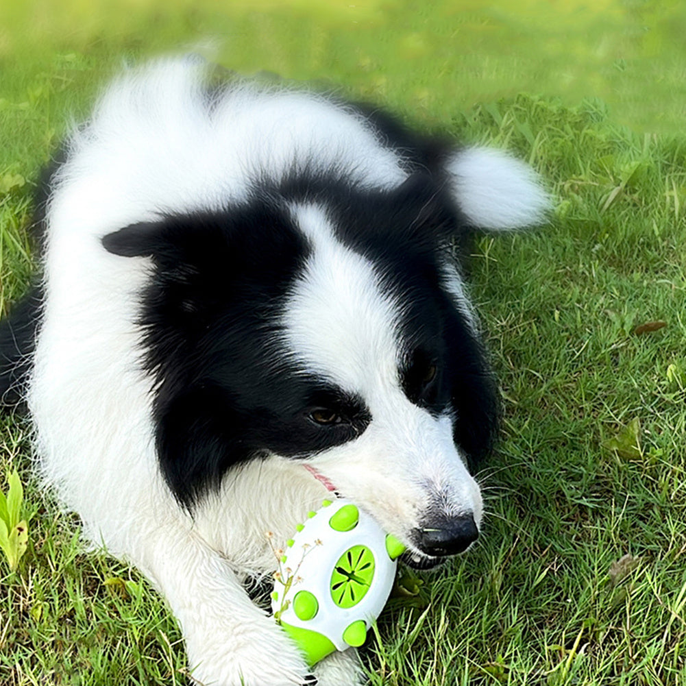 Pet Dog Interactive TPR Leaking Food Toys