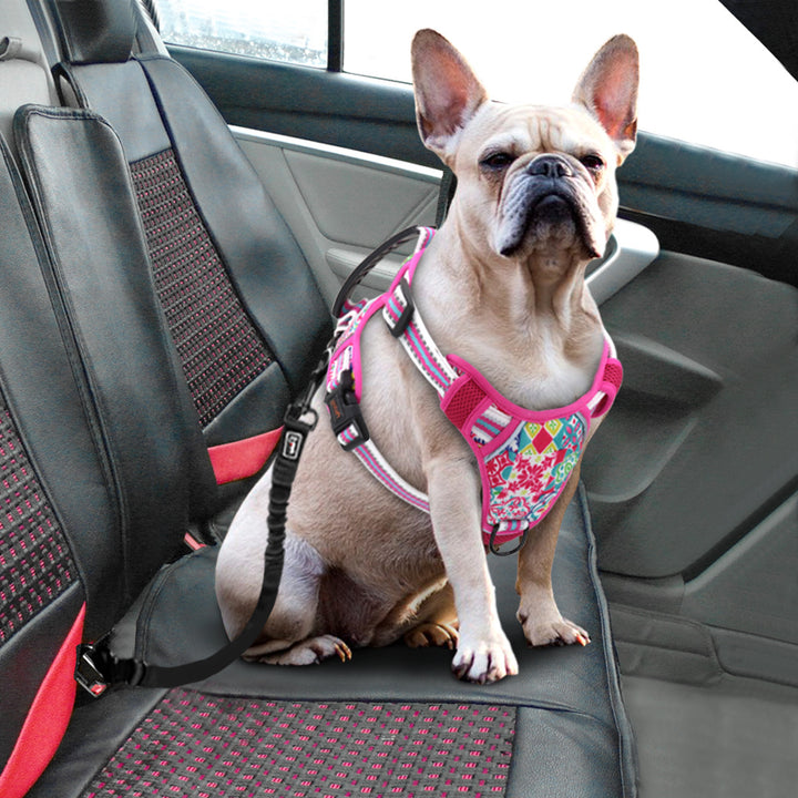Large Dog Pet Leash Chest Harness