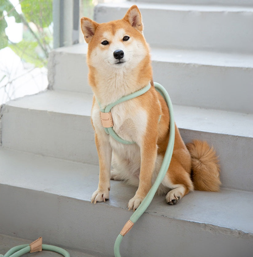 Pet Dual-purpose Round Rope